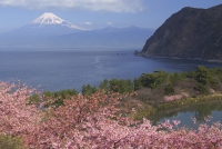 photo?id=2584&suffix=t