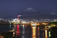photo?id=2585&suffix=t
