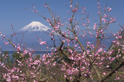 photo?id=2586&suffix=m