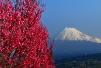 photo?id=2587&suffix=t