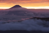 photo?id=2588&suffix=t