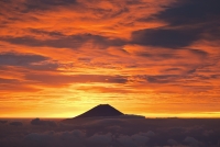 photo?id=2589&suffix=t