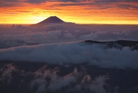 photo?id=2591&suffix=t