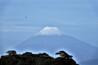 photo?id=2592&suffix=t