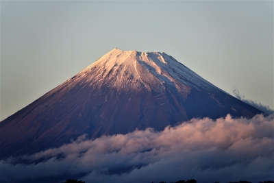 photo?id=2593&suffix=m