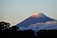 photo?id=2594&suffix=t