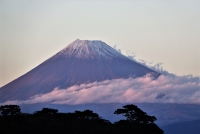photo?id=2595&suffix=t