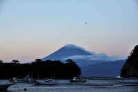 photo?id=2596&suffix=t