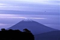 photo?id=2599&suffix=t