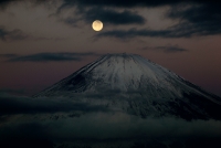 photo?id=2600&suffix=t
