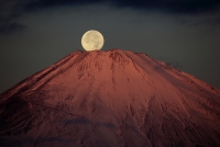 photo?id=2601&suffix=t