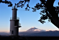 photo?id=2602&suffix=t