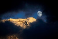 photo?id=2603&suffix=t