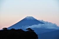 photo?id=2605&suffix=t