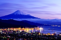 photo?id=2608&suffix=t