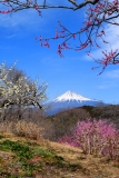photo?id=2614&suffix=t