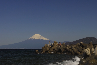 photo?id=2616&suffix=m