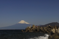 photo?id=2616&suffix=t