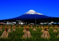 photo?id=2618&suffix=t