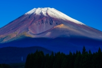 photo?id=2622&suffix=t