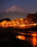 photo?id=2624&suffix=t
