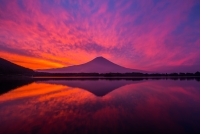 photo?id=2626&suffix=t