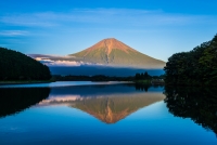 photo?id=2627&suffix=t