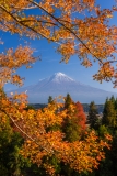 photo?id=2628&suffix=t