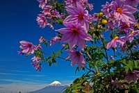 photo?id=2629&suffix=t