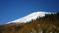 photo?id=2632&suffix=t