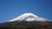 photo?id=2635&suffix=t