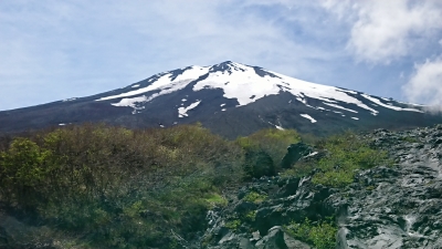 photo?id=2637&suffix=m