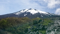 photo?id=2637&suffix=t
