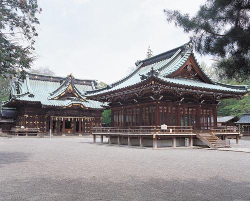 photo?id=264&suffix=m