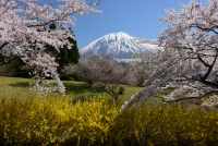 photo?id=2641&suffix=t