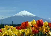 photo?id=2642&suffix=t