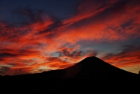 photo?id=2643&suffix=t