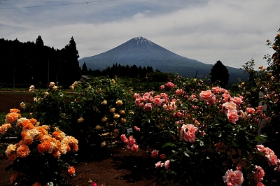 photo?id=2648&suffix=m