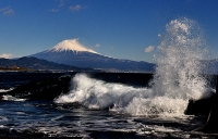 photo?id=2654&suffix=t