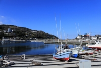 photo?id=2655&suffix=t