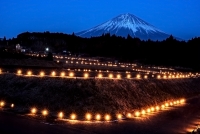photo?id=2663&suffix=t