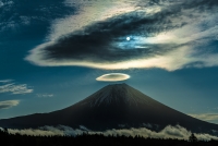 photo?id=2665&suffix=t