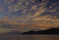 photo?id=2667&suffix=t