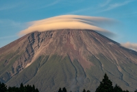 photo?id=2669&suffix=t