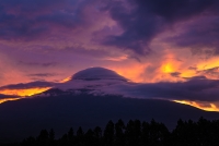 photo?id=2670&suffix=t