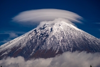 photo?id=2671&suffix=t