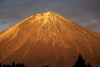 photo?id=2672&suffix=t