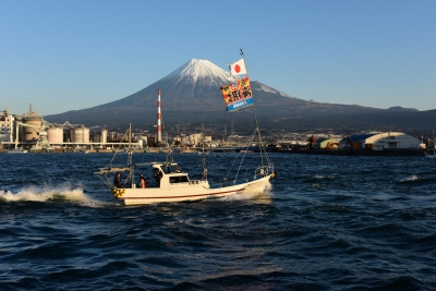 photo?id=2678&suffix=m
