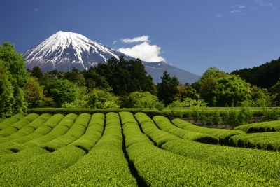 photo?id=2680&suffix=m