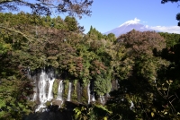 photo?id=2681&suffix=t